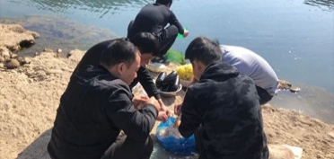 嘿，优化家人们的团建来咯